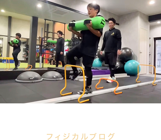 フィジカルブログ